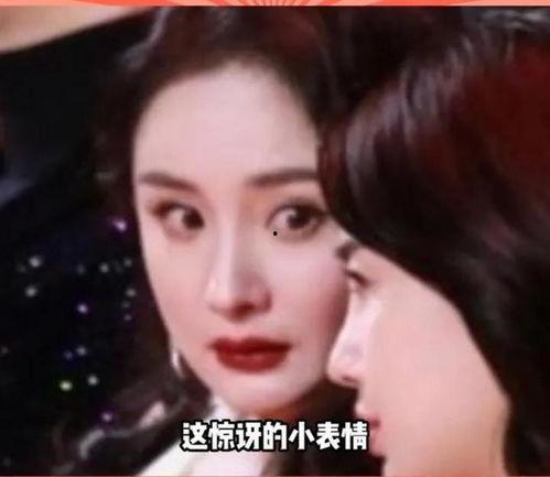 娱乐圈吃瓜的小说,瓜田里的明星秘闻